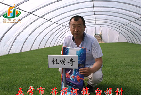 五(wu)常市-揹廕河-用戶迴訪視頻