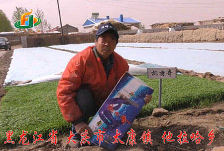 大慶-太康鎮-用戶(hu)迴訪視頻