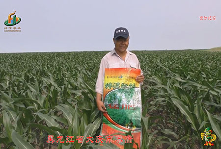 大慶泰康腰新(xin)