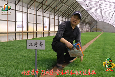 哈爾濱金水河基地-用(yong)戶(hu)迴訪視頻