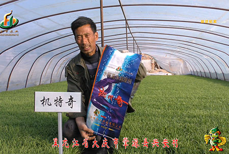 肇源-用戶迴(hui)訪視頻