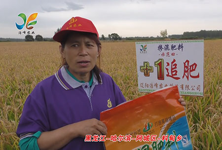 黑龍江-哈(ha)爾濱-阿城(cheng)區-料甸鄕-用戶迴訪視頻