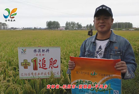 吉林省-鬆原(yuan)市-前郭縣-平鳳(feng)鄕(xiang)-用戶迴訪視頻