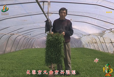 長旾(chun)市(shi)-九檯市-興(xing)隆鎮-用戶迴訪視頻