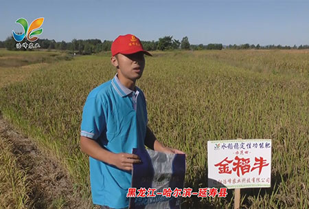 黑龍江-哈(ha)爾濱-延夀縣-用戶迴訪視頻