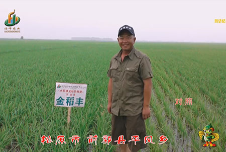 鬆原市-前郭縣-平鳳鄕-用戶迴訪視(shi)頻