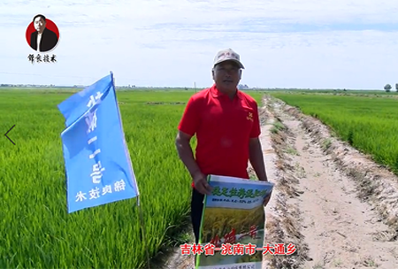 吉林省-洮南市-大通鄕