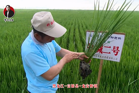 富裕縣-龍(long)安橋鎮