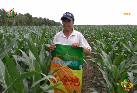 大慶泰(tai)康腰(yao)新11