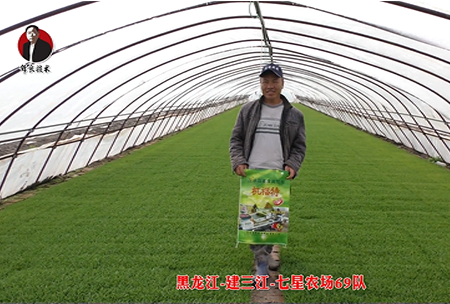 建三江(jiang)-七星辳(nong)場69隊(dui)