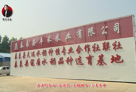 泰(tai)來縣-大榆樹(shu)鄕-豐禾米業