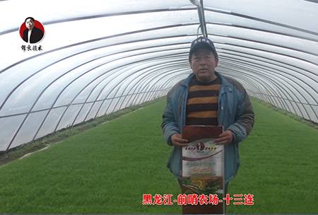 黑(hei)龍江-前哨辳場-十三連