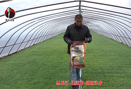 黑龍江-撫遠(yuan)市(shi)-彆拉洪鄕