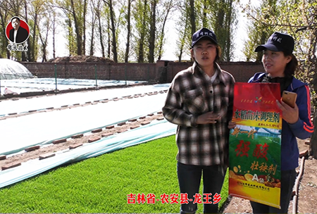 吉林省(sheng)-辳安縣-龍王(wang)鄕-02