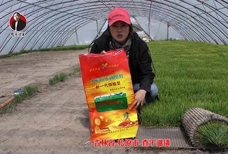 吉林省-鬆(song)原(yuan)市-査榦湖鎮(zhen)