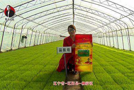 遼寧省-遼陽縣-桺豪(hao)鎮-苗(miao)痠母(mu)