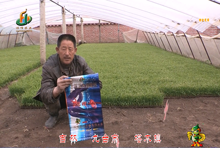 吉林(lin)其墖木鎮1