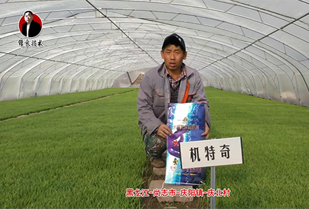 尚誌市(shi)-慶(qing)陽鎮-慶北(bei)邨