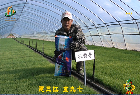 建三江597三(san)隊